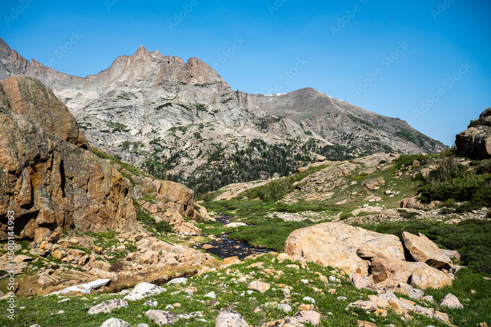 High Alpine Meadow In Rocky Mountain