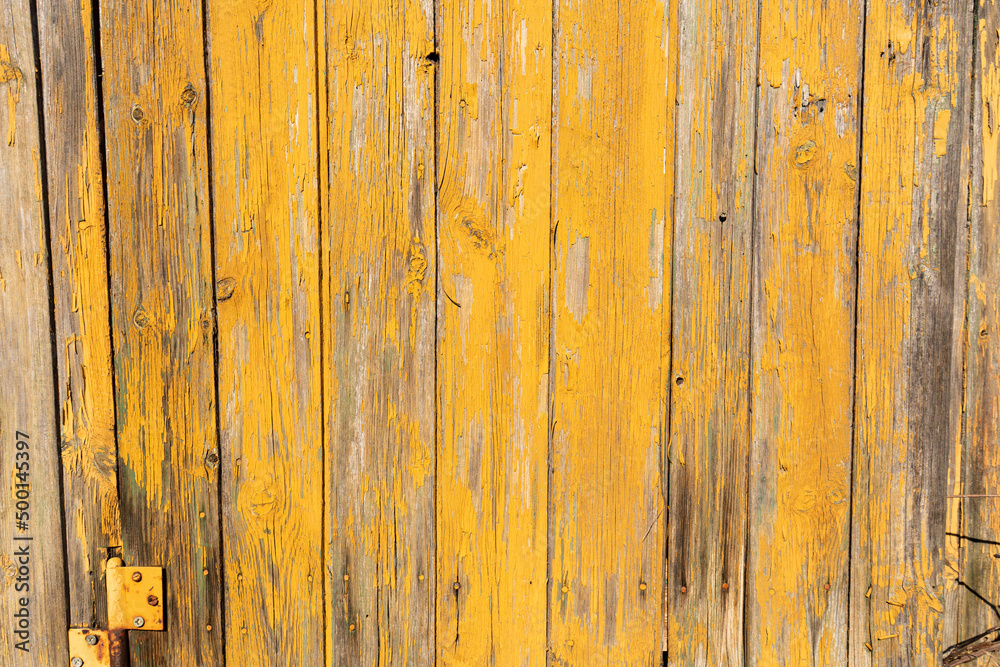 Yellow wodden planks covered with old flaking paint and visible wood patches, aged wodden door surface making a good background material