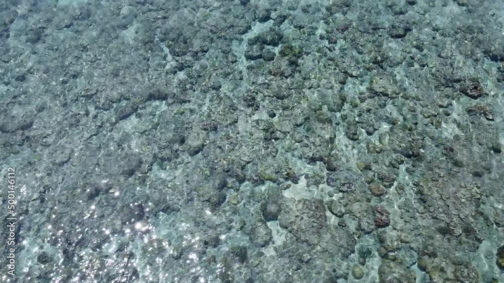 Tropical Island Crystal Clear White Sand Beach Coral Reef in Halmahera North Maluku Indonesia Tropical Island Crystal Clear White Sand Beach Coral Reef in Halmahera North Maluku Indonesia