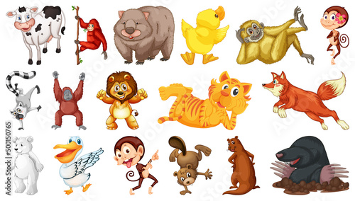 Wild animals on white background