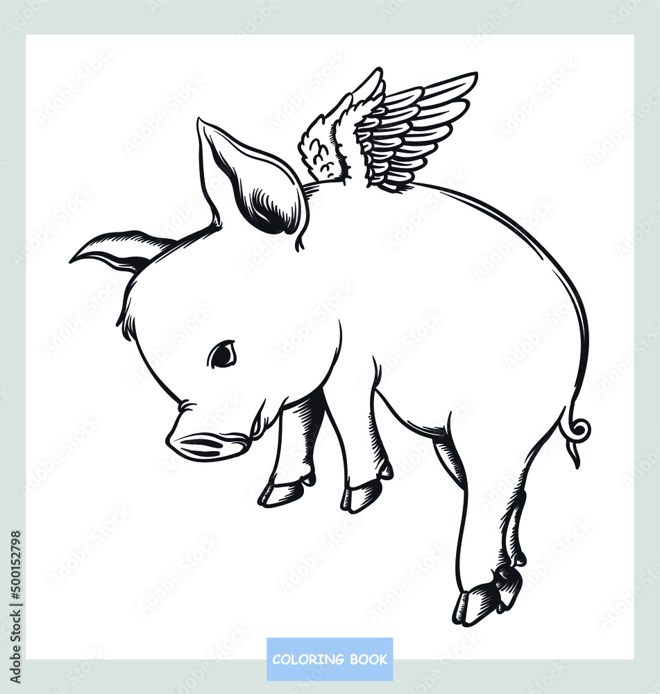 Coloring book cute pig flying cartoon vector illustration