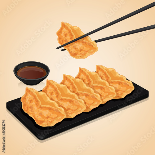 Japanese gyoza dumplings (potstickers) recipe and chopsticks holding gyoza illustration vector photo