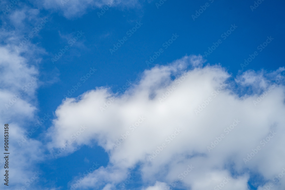 Obraz premium ドラゴンの形をした雲