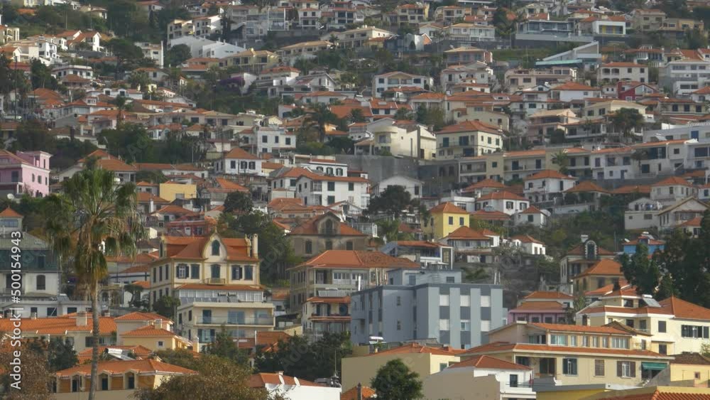 Typical scene in Funchal, Madeira. Overview of the city Typical scene in Funchal, Madeira. Overview of the city