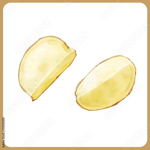 手描き水彩のじゃがいもくし切りイラスト