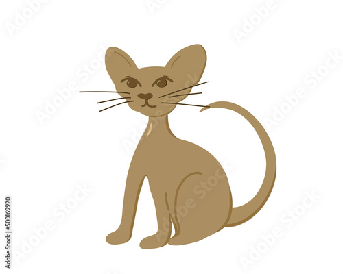 Cute cartoon Sphynx, hairless cat breed, sitting, isolated on white background. Vector illustration