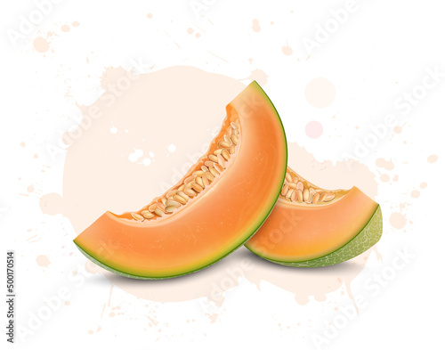 Muskmelon Fruit slices with Muskmelon seeds vector illustration 