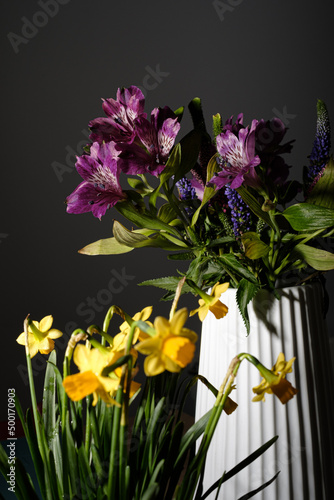 Yellow daffodils flower bouquet in bloom on a black background and purple flowers on a white bouquet