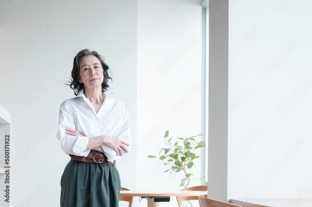 Business Woman in Office Business Woman in Office