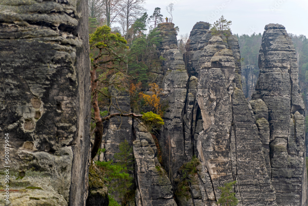Czech Saxony. Rocks, landscape, trees, view, autumn, nature.