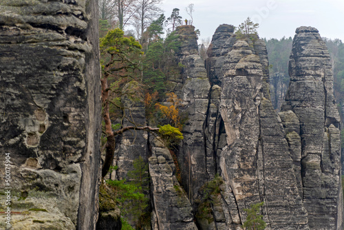 Czech Saxony. Rocks, landscape, trees, view, autumn, nature.