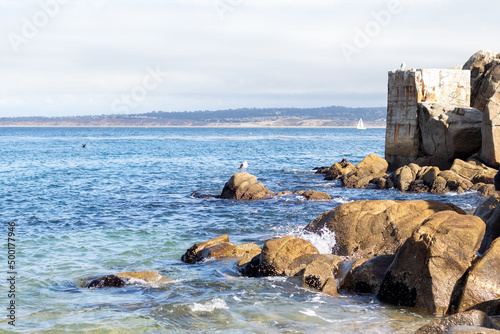 Fototapeta Naklejka Na Ścianę i Meble -  rocky coast of the sea