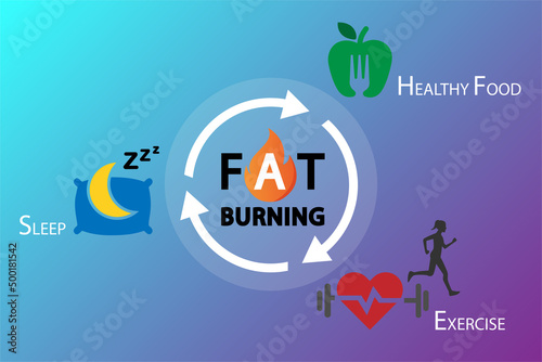 Infographic of fat burning and healthy lifestyle - healthy food, exercise and sleep. Vector illustration.