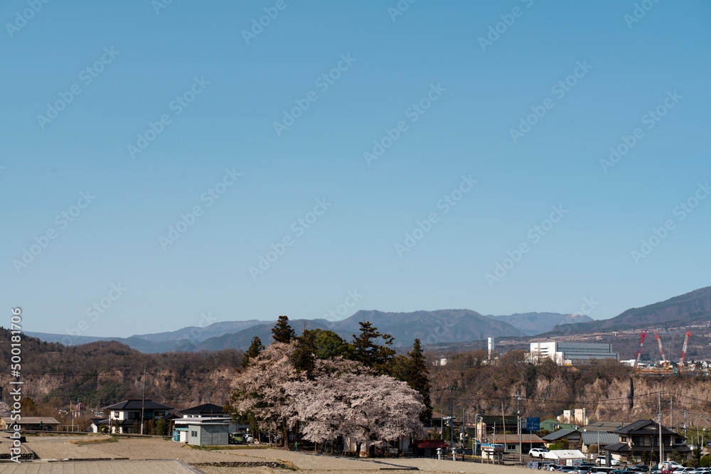 晴れた日に撮影した桜と棚田と山々