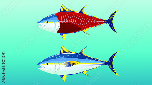 Commercial fish species. Yellowfin tuna. Vector illustration cartoon flat icon isolated on white.