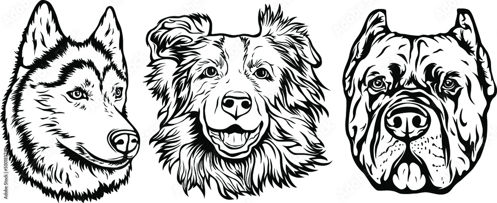 Hand drawn face of dogs. Black and white vector illustration mascot art ...
