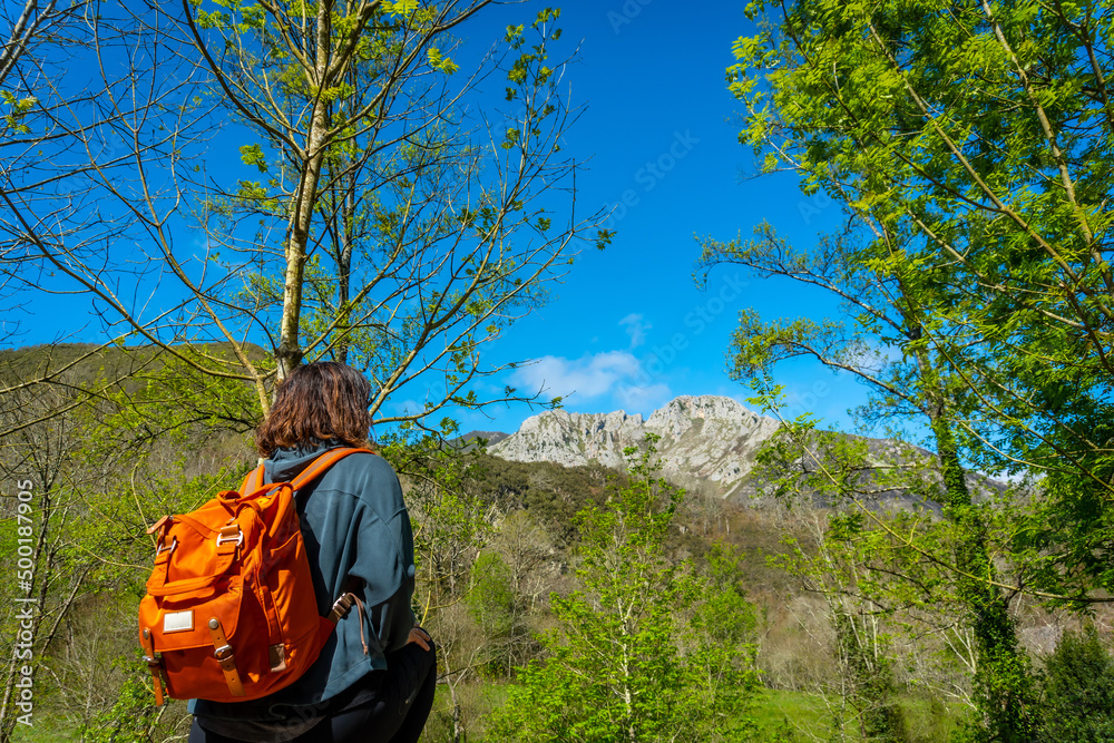 Naklejka premium A young woman with a backpack looking at the mountains and the Sella river between El Tornin a la Olla de San Vicente, near Cangas de Onis. Asturias. Spain