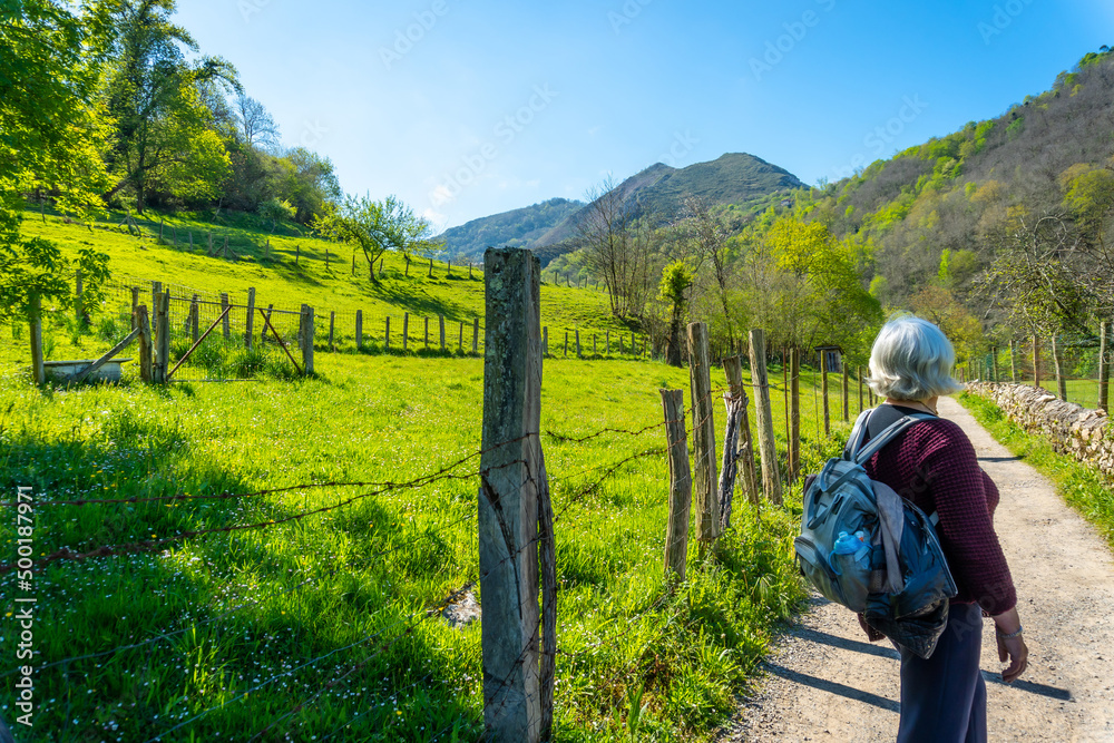 An elderly woman trekking on the trail between Tornin and Olla de San Vicente, near Cangas de Onis. Asturias. Spain