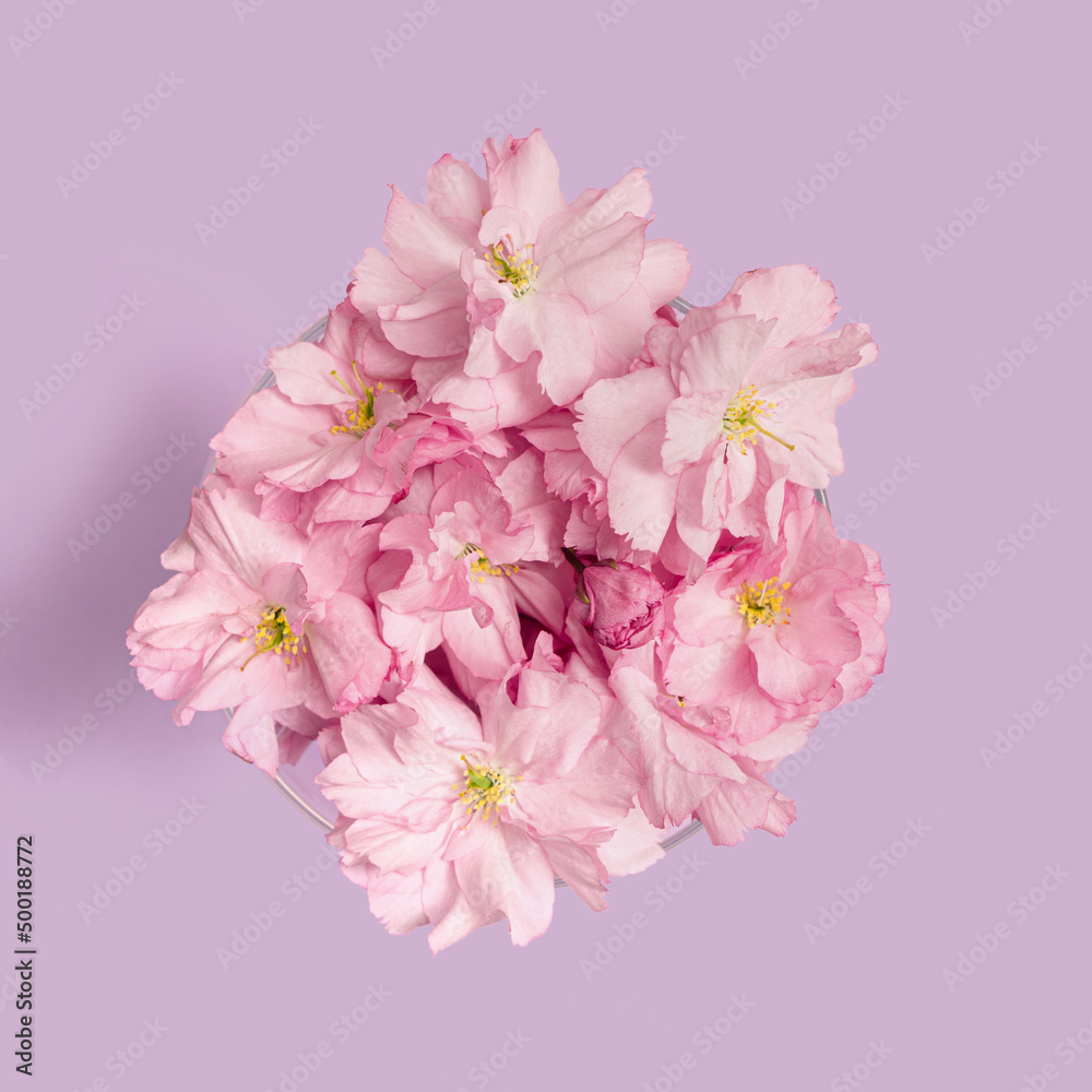 Minimal abstract concept. Flat lay arrangement of organic fresh cherry flowers against a pink background