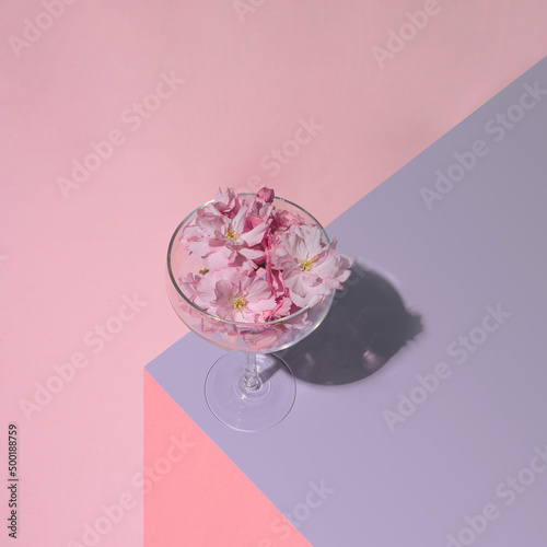 Organic fresh cherry flowers sit on the corner of the table in lovely coupe glass. Pastel purple and pink background. Abstract concept.