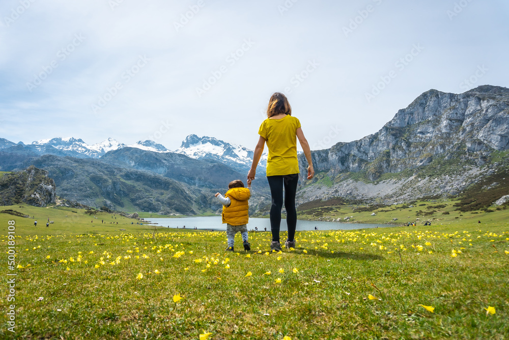 First steps of a baby in Lake Ercina in spring with yellow flowers in the Lakes of Covadonga. Asturias. Spain First steps of a baby in Lake Ercina in spring with yellow flowers in the Lakes of Covadonga. Asturias. Spain