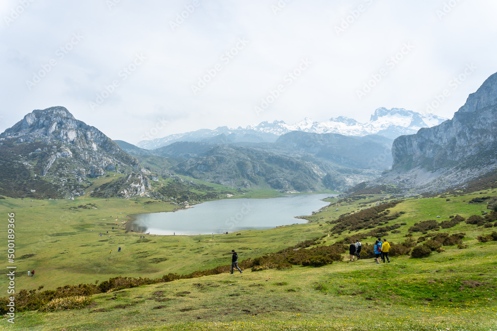 View from the Entrelagos viewpoint of Lake Ercina in the Lakes of Covadonga. Asturias. Spain