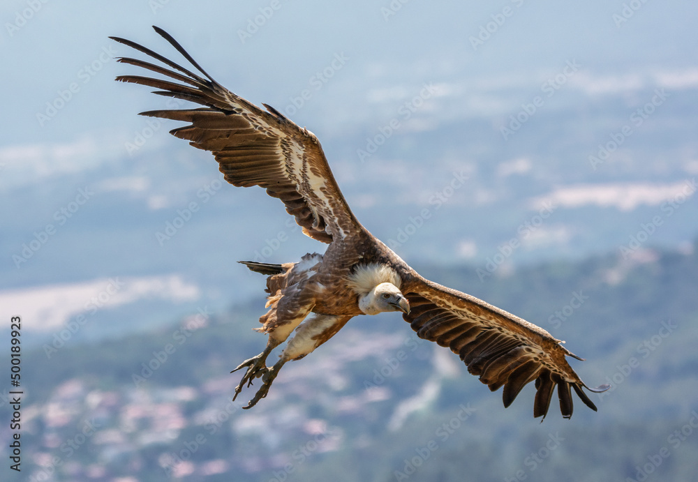 Obraz premium Cim d'Àligues