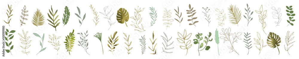 Hand drawn colorful plant set modern and universally usable. Flower branch and minimalistic plants. Hand drawn lines, elegant leaves for your own design. Botanical, chic and trendy plants. Hand drawn colorful plant set modern and universally usable. Flower branch and minimalistic plants. Hand drawn lines, elegant leaves for your own design. Botanical, chic and trendy plants.