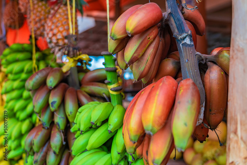 Different kinds of Bananas hang under the roof of street shop in Zanzibar, Tanzania. photo