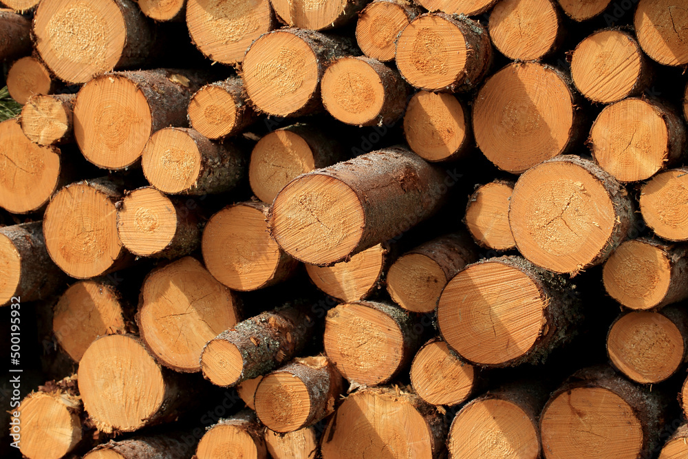 Wood in stock in the Augustów Primeval Forest