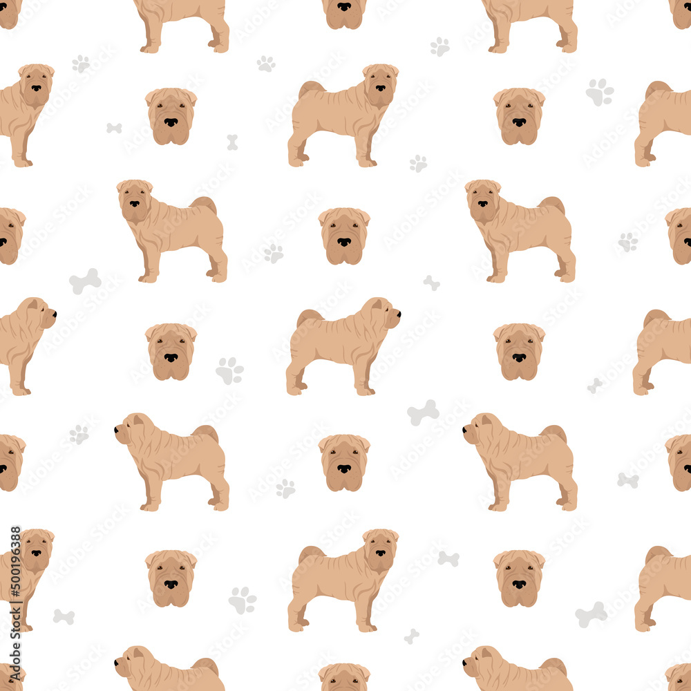 Fototapeta premium Shar Pei (modern) meat mouth seamless pattern. Different poses, coat colors set