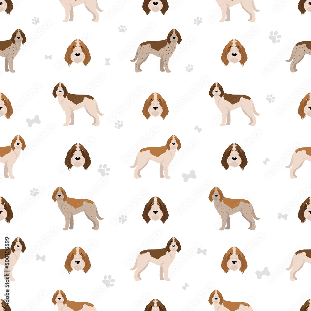 Spinone Italiano coat colors, different poses seamless pattern