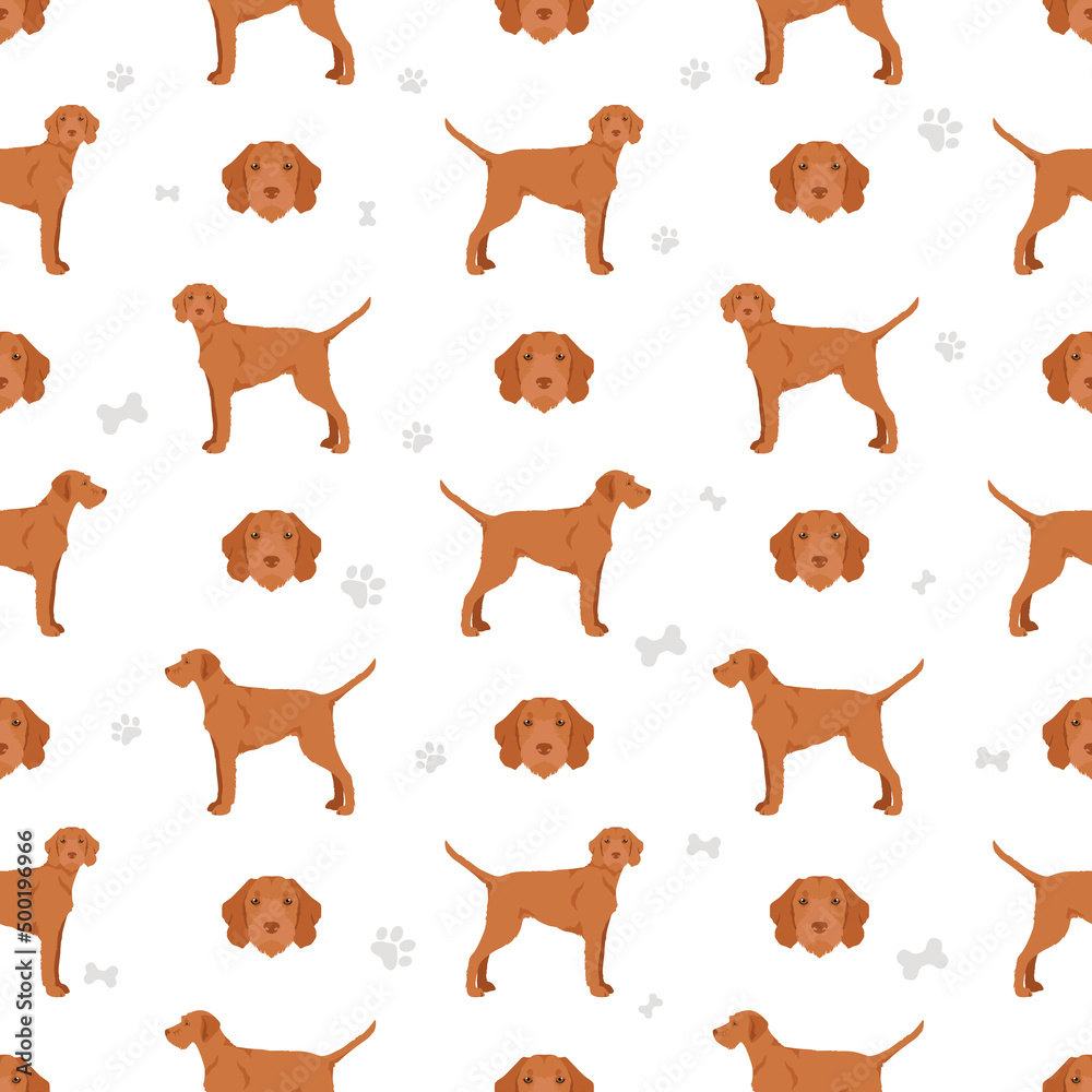 Vizsla wirehaired seamless pattern. Different poses, coat colors set