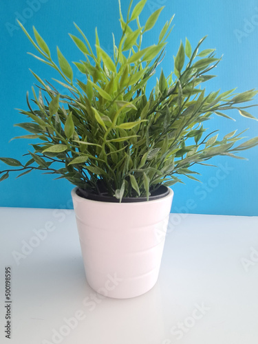 Artificial green flower plant in white pot closeup