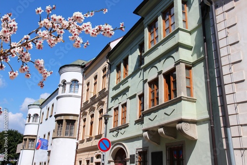 Bratislava street view in Slovakia. Spring time cherry blossoms.