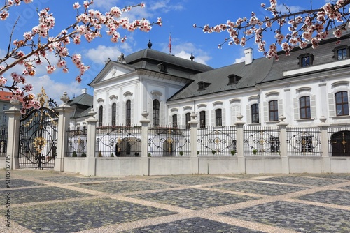 Slovakia Presidential Palace in Bratislava. Spring time cherry blossoms. photo