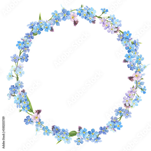 Watercolor spring flowers - forget me nots. Wreath of spring flowers, botanical illustration