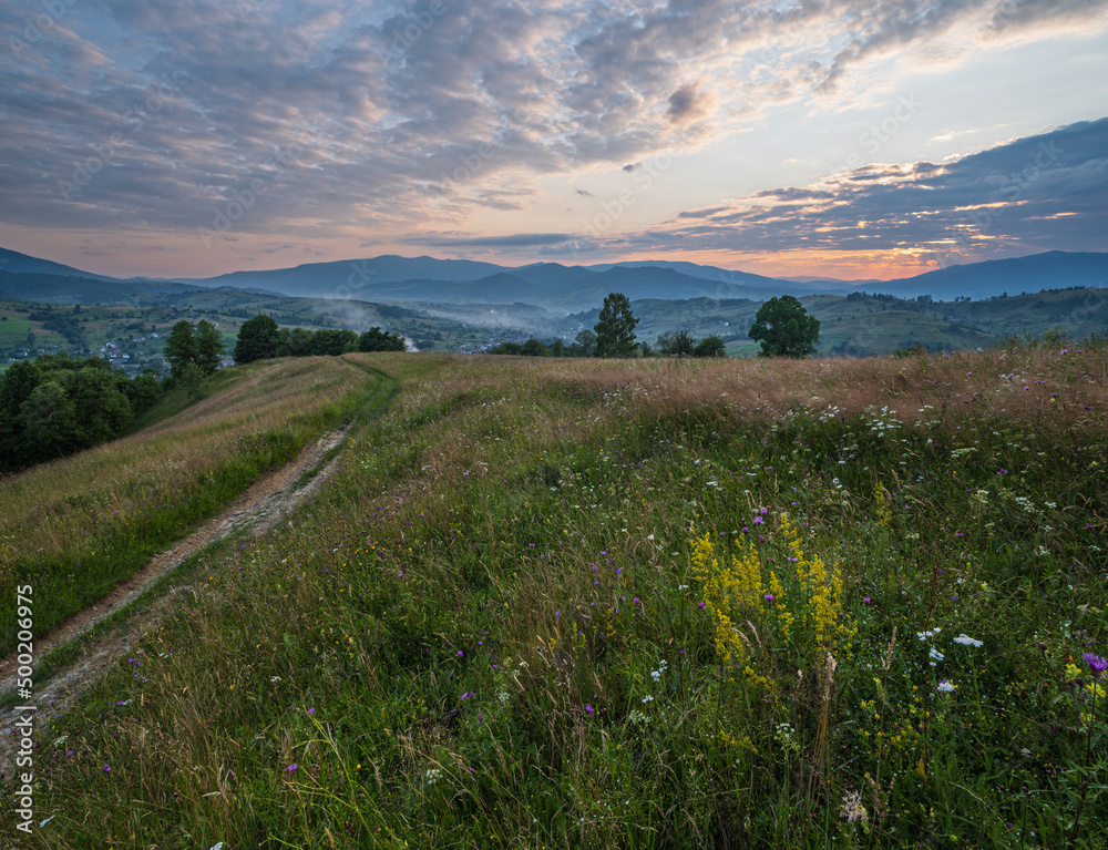 Summer twilight Carpathian mountain countryside meadows. with beautiful wild flowers