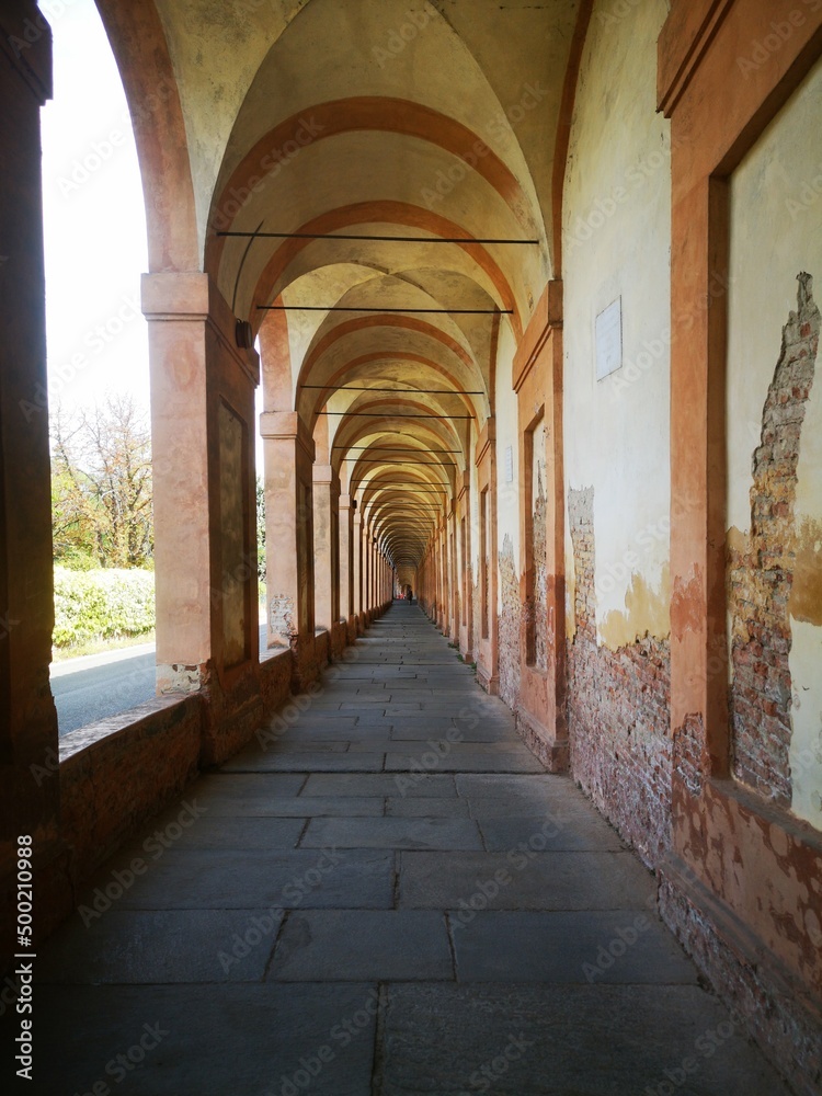 Obraz premium Bologna - Architettura