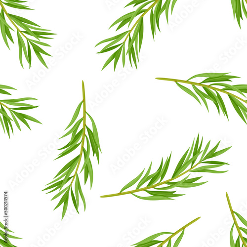 Tea tree seamless pattern. Botanical background with Melaleuca alternifolia green leaves. Vector illustration of branches of medicinal herbs in cartoon flat style.
