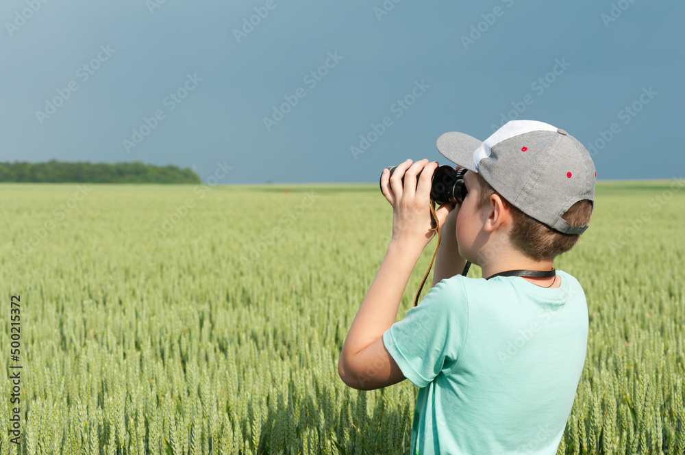A boy looks through binoculars in the middle of the green wheat field A boy looks through binoculars in the middle of the green wheat field