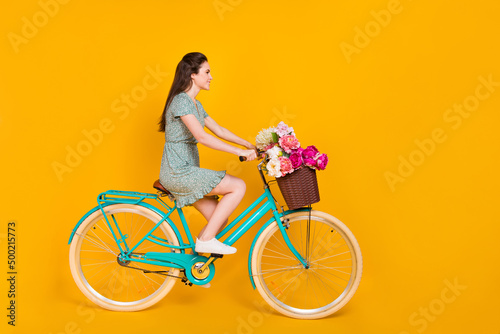 Photo of sweet charming woman wear print dress riding bike pink bouquet empty space isolated yellow color background © deagreez