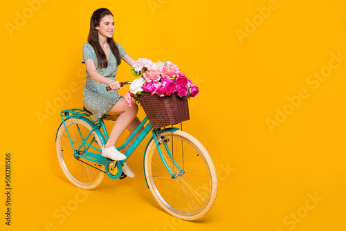 Fototapeta Naklejka Na Ścianę i Meble -  Photo of adorable sweet woman wear print dress riding bike pink bouquet empty space isolated yellow color background