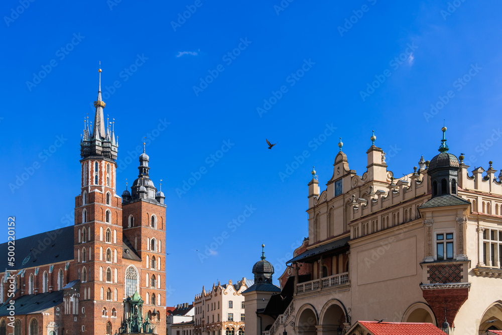 Basilica of St. Mary on the main market square of Krakow on a sunny day, a dove spread its wings beautifully in the blue sky. Tourist attractions in Poland, travel itineraries