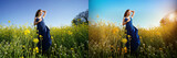 Young beautiful girl in a long blue dress stands among a field of flowers. Yellow blue flag of Ukraine. Symbol of freedom. Horizontal banner for photo retouching, before and after, collage of 2 images