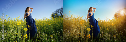 Young beautiful girl in a long blue dress stands among a field of flowers. Yellow blue flag of Ukraine. Symbol of freedom. Horizontal banner for photo retouching, before and after, collage of 2 images