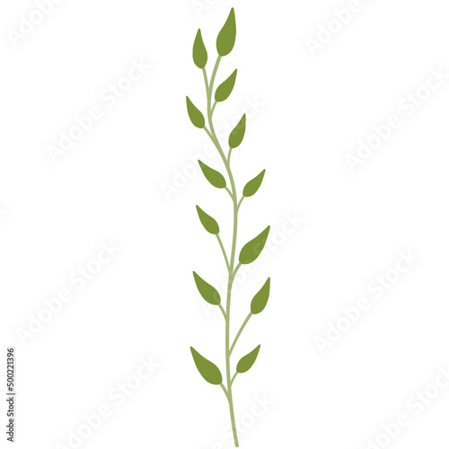 Plants and flowers vector clipart