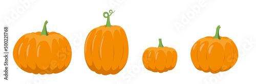 Pumpkin set. Orange pumpkin, fall, Halloween. Flat, vector