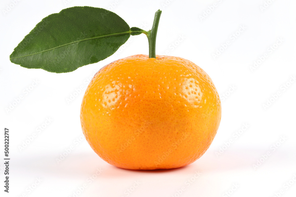 oranges, healthy fruit, mandarin oranges, vitamin c, against white background oranges, healthy fruit, mandarin oranges, vitamin c, against white background