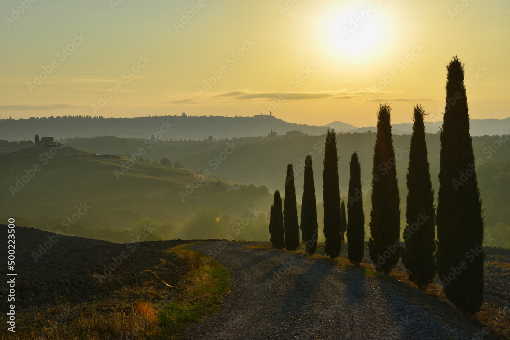 Fototapeta premium landscape of tuscany in end of autumn